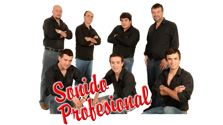 contratacion de sonido profesional