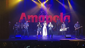Amapola