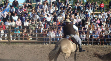 Expo Criollos Chascomus 2012