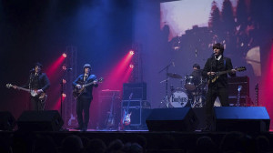 The Brothers Beatle Band